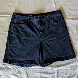 High Waisted Retro Shorts